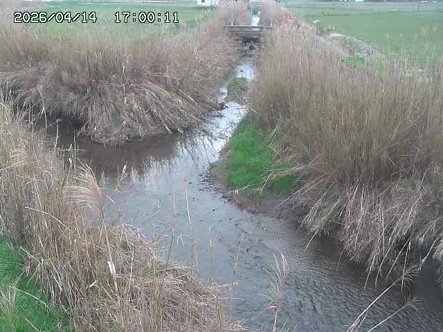 由良川４2026/04/14 16:50