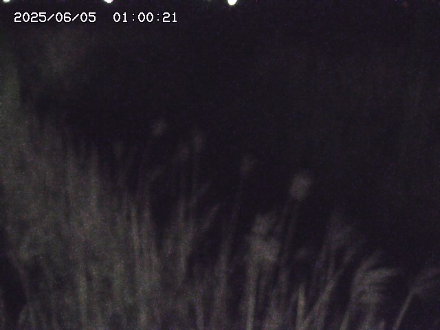 由良川４2025/06/06 01:10