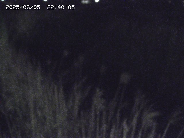 由良川４2025/06/06 01:10