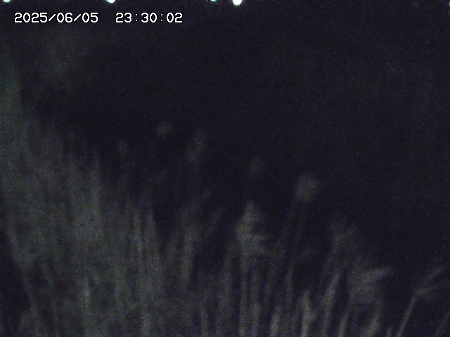 由良川４2025/06/06 01:10