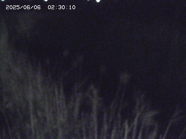 由良川４2025/06/06 03:00
