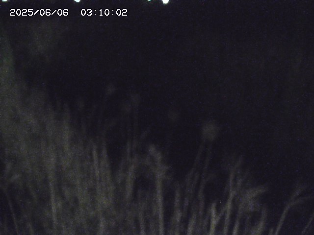 由良川４2025/06/06 03:00
