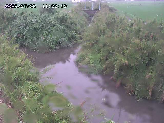 由良川４2026/07/03 08:20