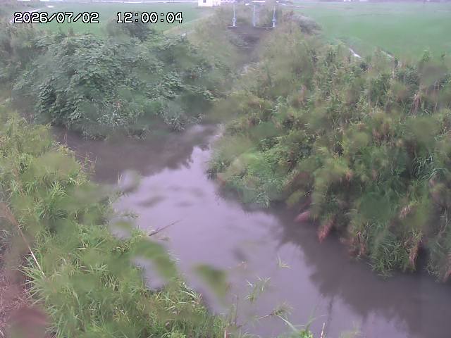 由良川４2026/07/03 08:20