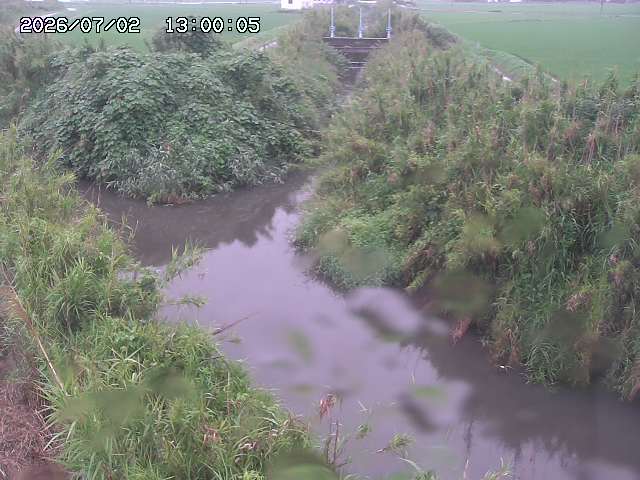 由良川４2026/07/03 08:20