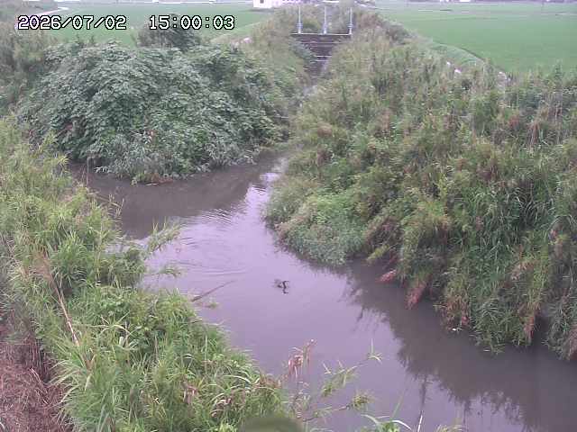 由良川４2026/07/03 08:20