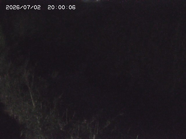 由良川４2026/07/03 08:20