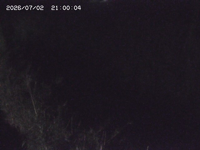 由良川４2026/07/03 08:20