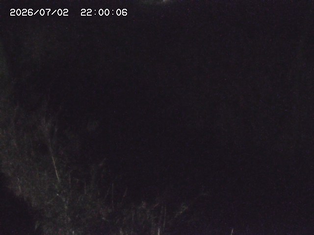 由良川４2026/07/03 08:20