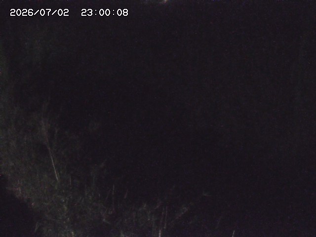 由良川４2026/07/03 08:20