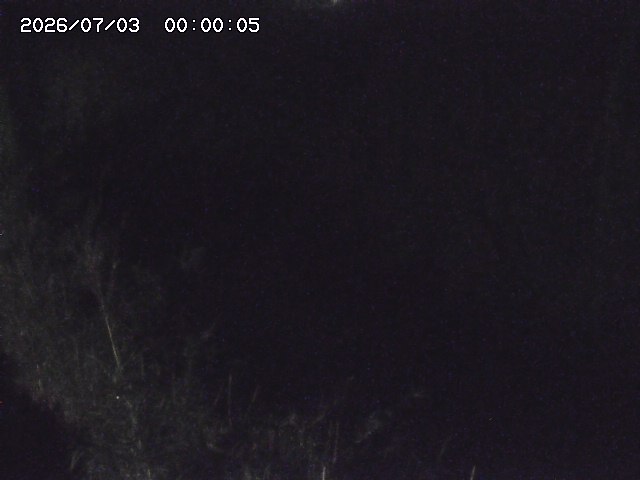 由良川４2026/07/03 08:20