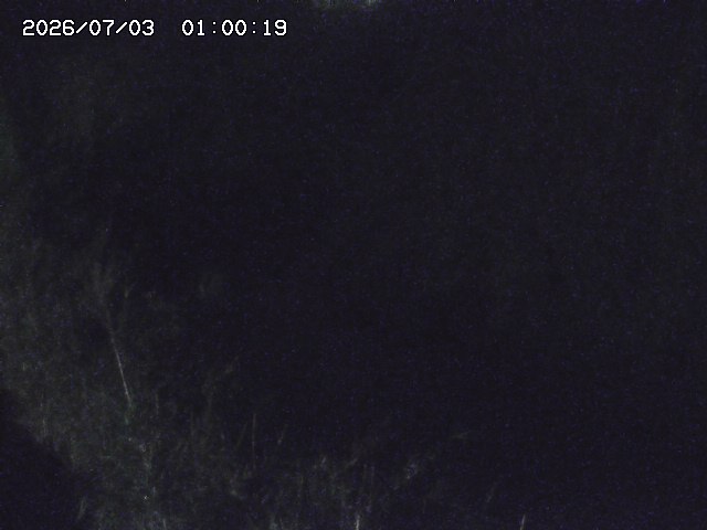 由良川４2026/07/03 08:20