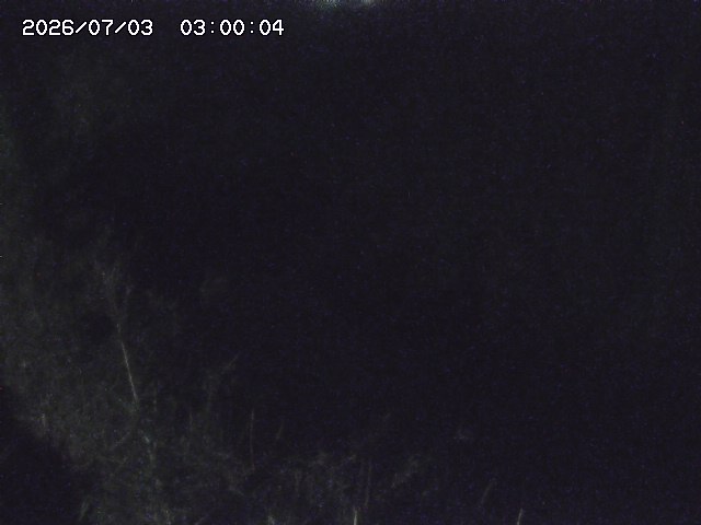 由良川４2026/07/03 08:20
