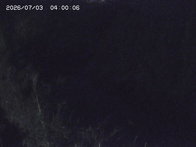 由良川４2026/07/03 08:20