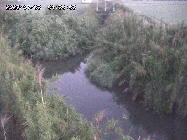 由良川４2026/07/03 08:20