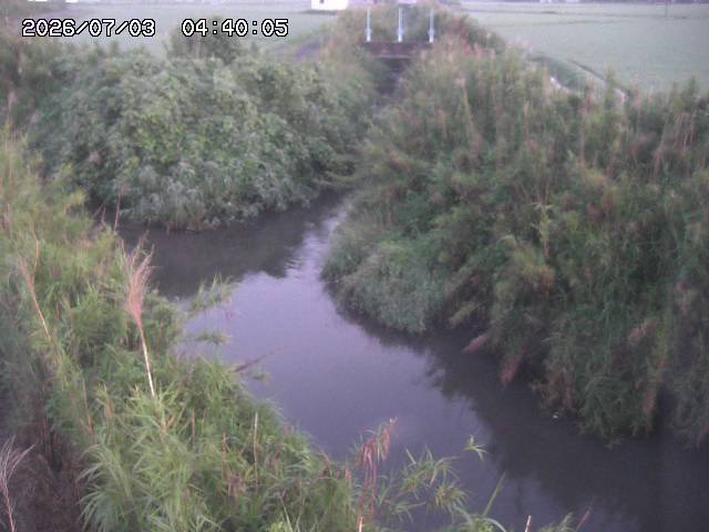 由良川４2026/07/03 08:20