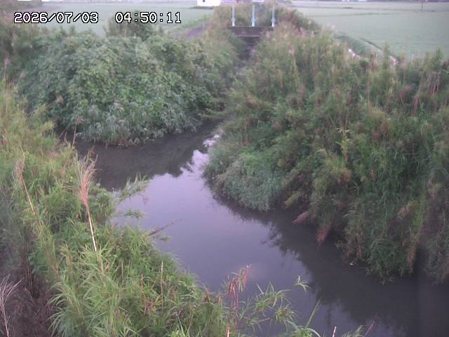 由良川４2026/07/03 08:20