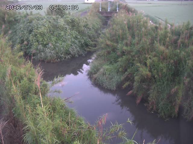 由良川４2026/07/03 08:20