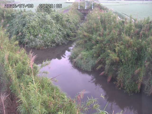 由良川４2026/07/03 08:20