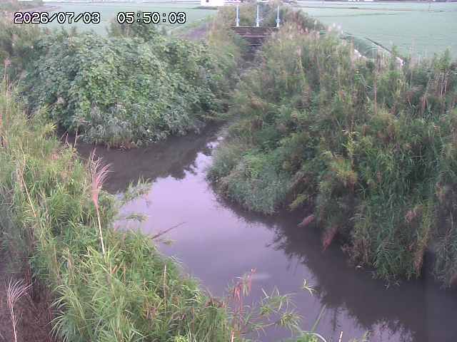 由良川４2026/07/03 08:20