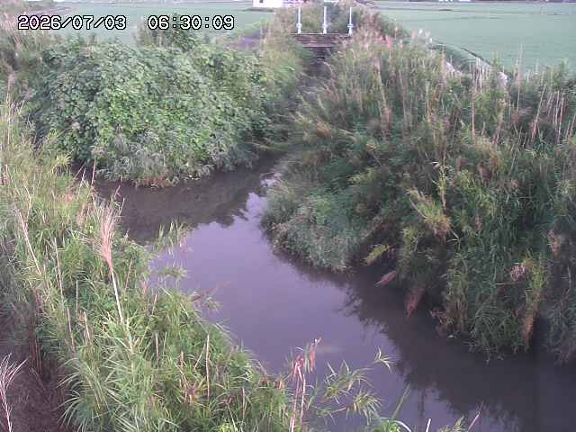 由良川４2026/07/03 08:20