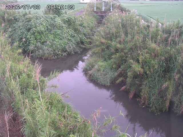 由良川４2026/07/03 08:20