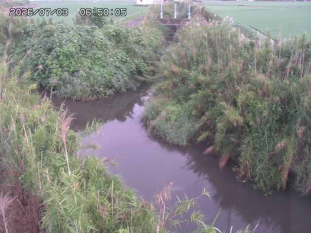 由良川４2026/07/03 08:20