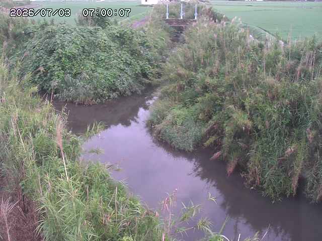 由良川４2026/07/03 08:20