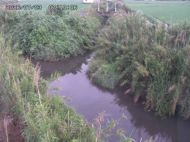 由良川４2026/07/03 08:20