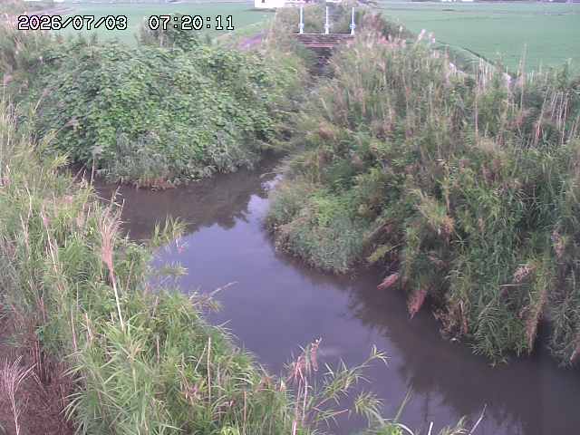 由良川４2026/07/03 08:20