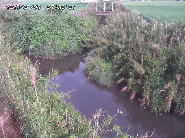 由良川４2026/07/03 08:20