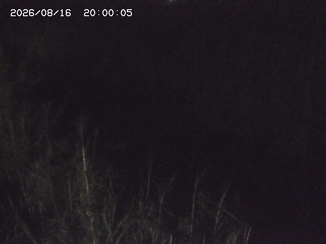 由良川４2026/08/17 20:30