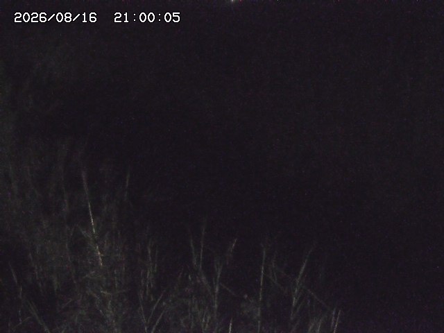 由良川４2026/08/17 20:30