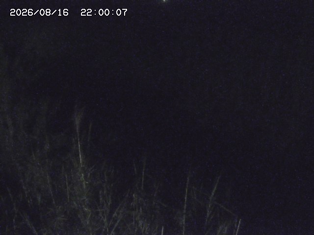 由良川４2026/08/17 20:30