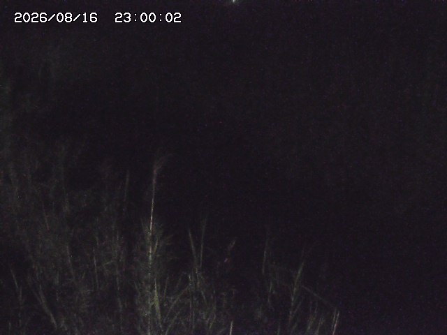 由良川４2026/08/17 20:30