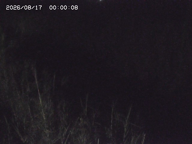 由良川４2026/08/17 20:30
