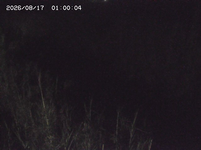 由良川４2026/08/17 20:30