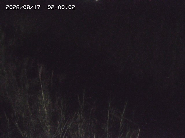 由良川４2026/08/17 20:30