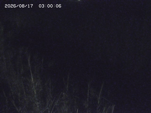由良川４2026/08/17 20:30