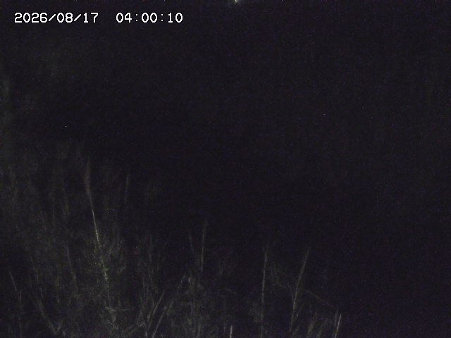 由良川４2026/08/17 20:30