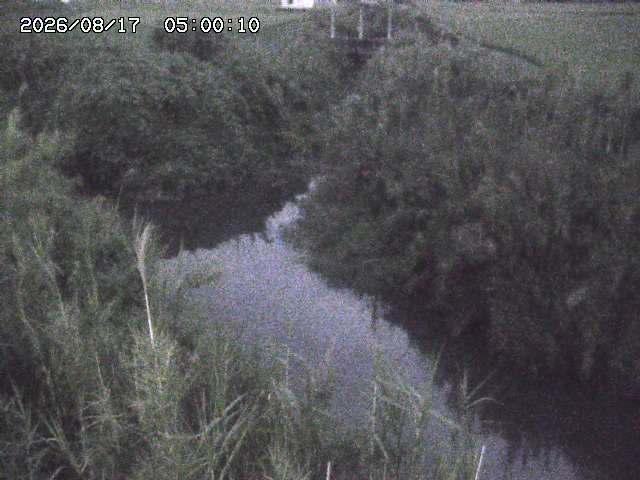 由良川４2026/08/17 20:30