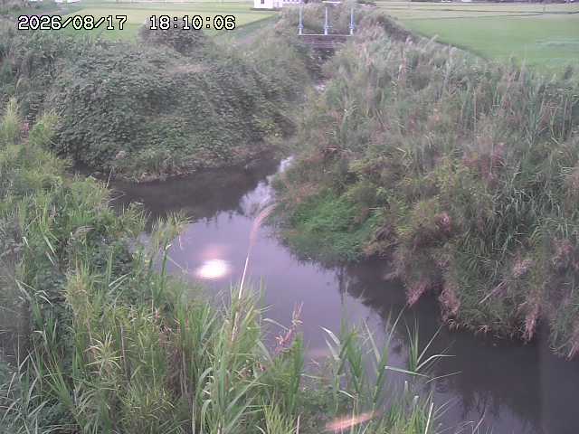 由良川４2026/08/17 20:30