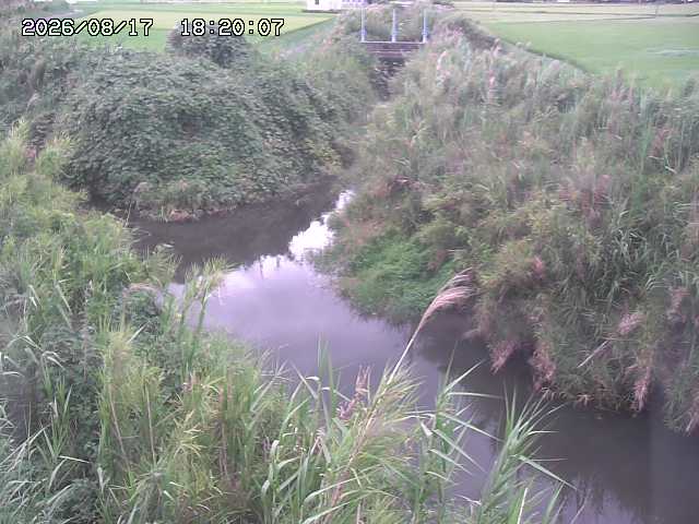 由良川４2026/08/17 20:30