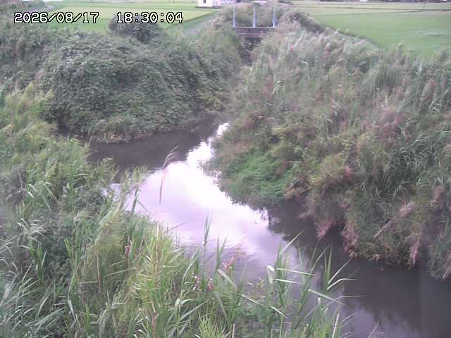 由良川４2026/08/17 20:30