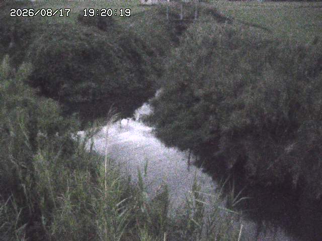 由良川４2026/08/17 20:30