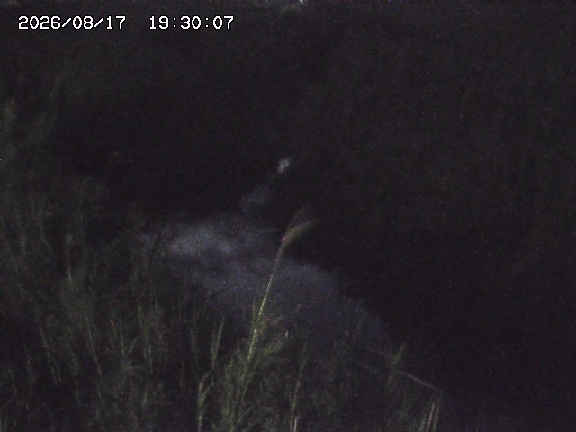 由良川４2026/08/17 20:30