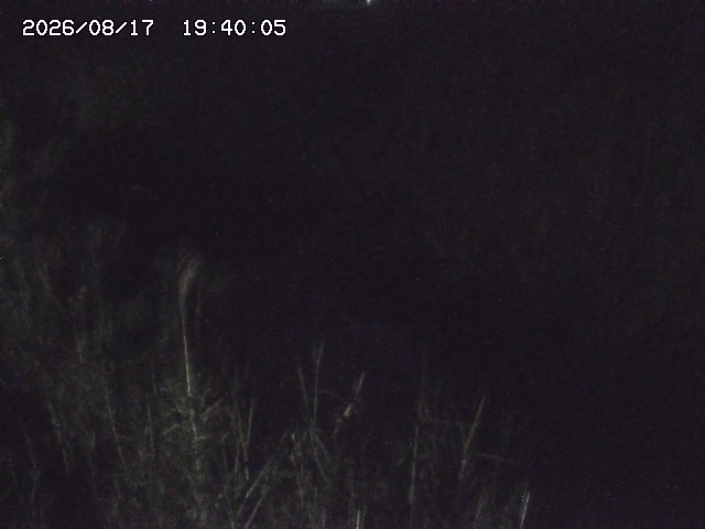 由良川４2026/08/17 20:30