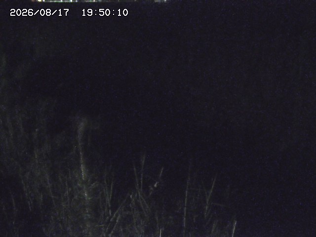 由良川４2026/08/17 20:30