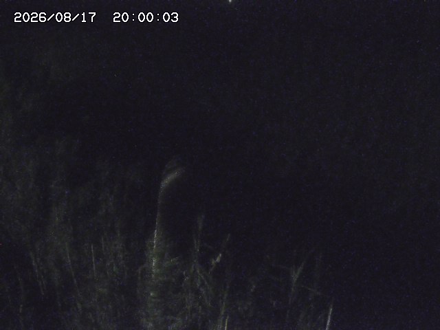 由良川４2026/08/17 20:30