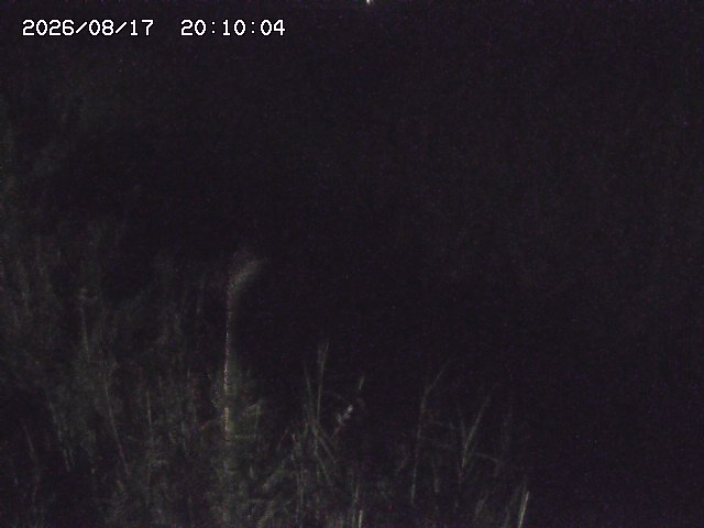 由良川４2026/08/17 20:30